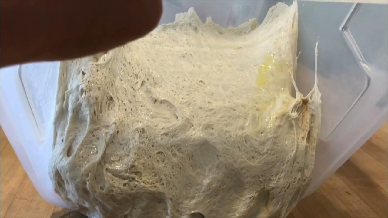 When Is Sourdough Bulk Fermentation Finished And Ready To Shape YouTube When is sourdough bulk fermentation finished and ready to shape youtube