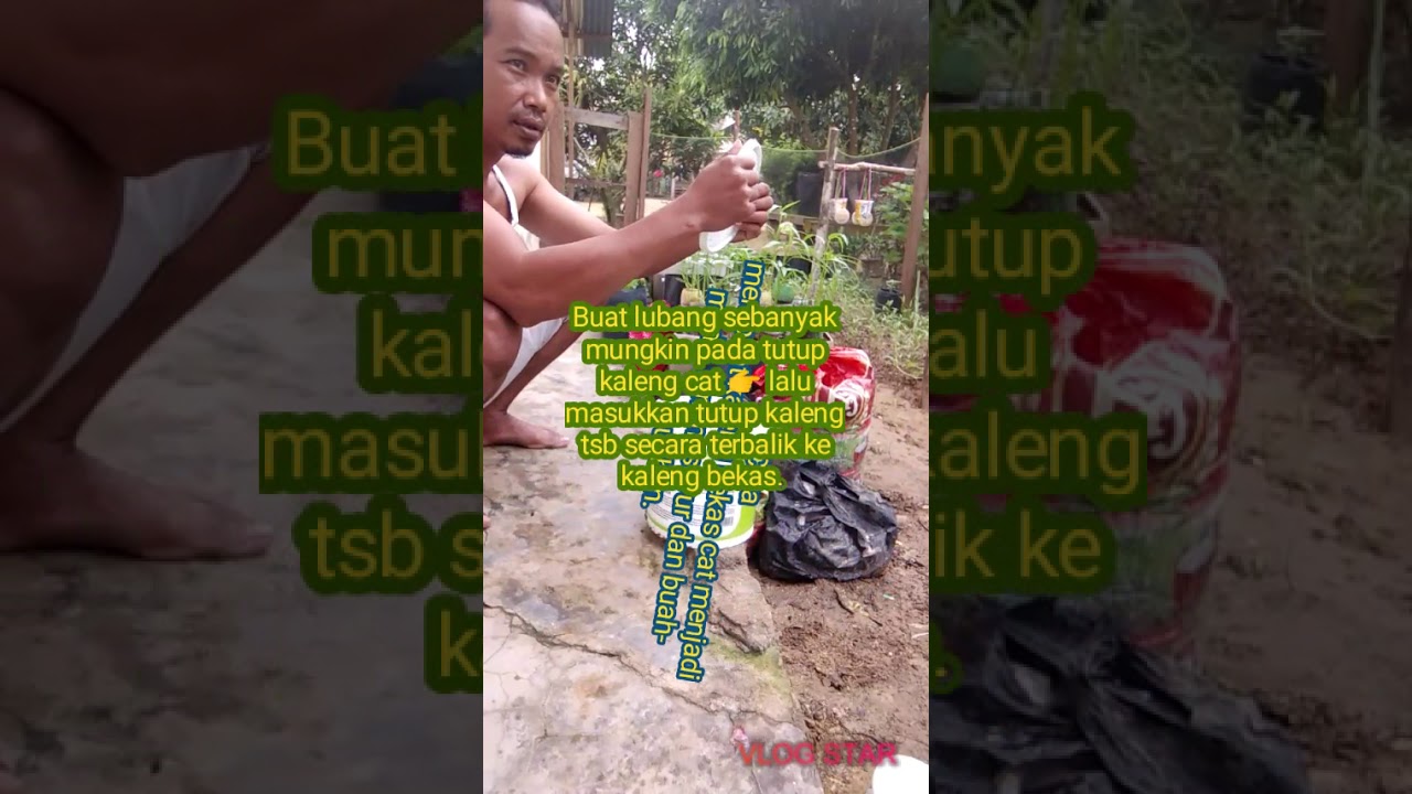 Cara membuat media tanam sayur dan buah buahan dari kaleng Cara membuat media tanam sayur dan buah buahan dari kaleng