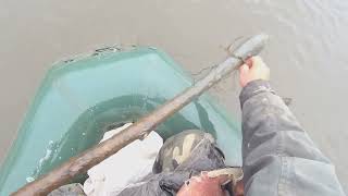 картинка: Заключительная  серия  рыбалки  на  сеть..Снимаемся..Архив.