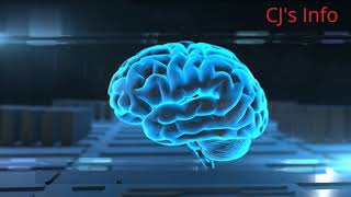 Cloud Computing Introduction| Cloud Computing  | CJ Info