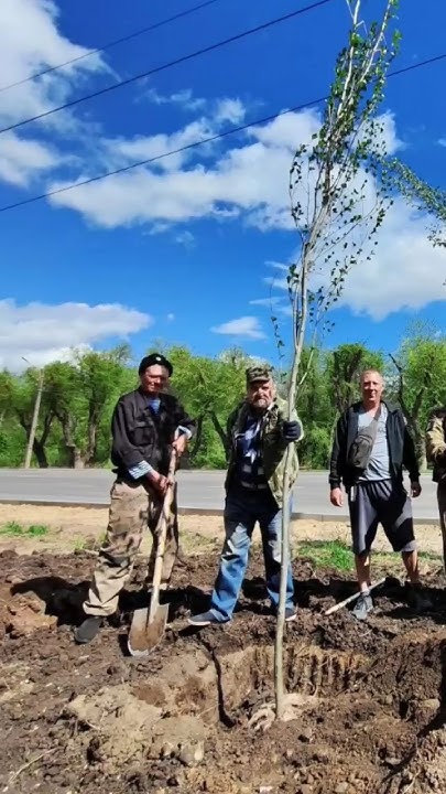 Луганск новости 🌳🌿Ул. Оборонная. Депутаты от КПРФ Народного Совета ...