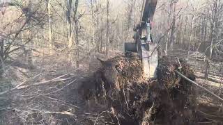 Clearing treelwith John Deere 120 excavator