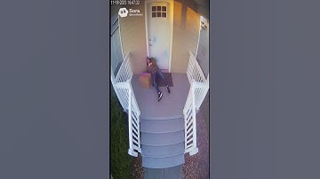 Porch Pirate Opens The Wrong Box 😂💥