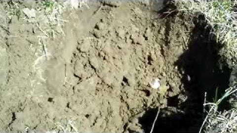 Minelab E-Trac 2 FULL Digs...Episode V