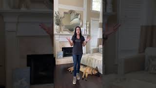 Teach Your Dog to Instantly Drop ANY Item by Peach on a Leash Dog Training & Behavior Services 24,057 views 4 years ago 4 minutes, 55 seconds