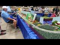 2018 NMRA National Train Show - Record setting T-Trak layout - N scale