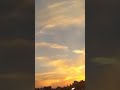 في حضرة المحبوب أحمد رسول الله   