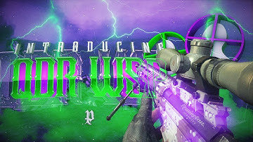 Introducing QDR WSP - By: Duality (Multi-COD Montage)