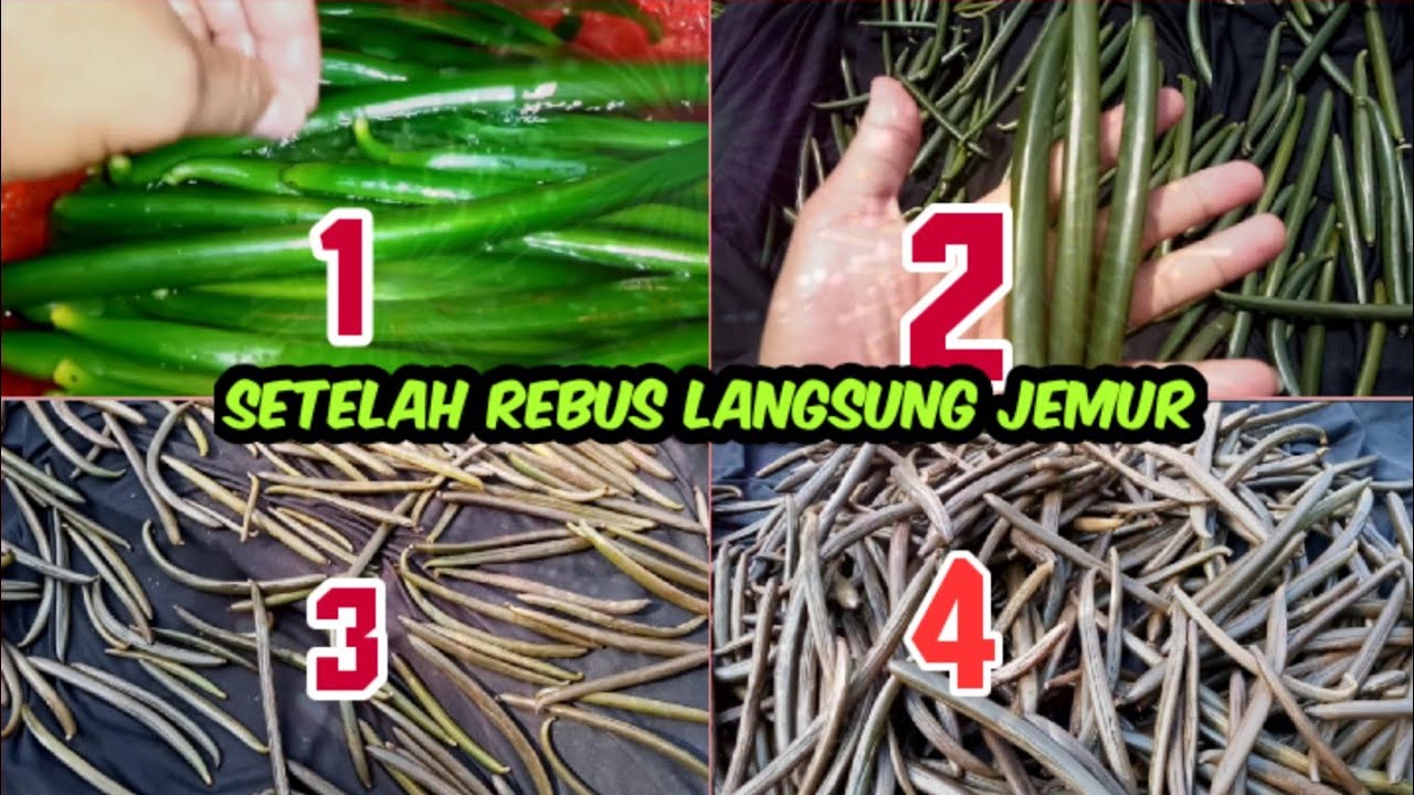 Процесс варки и завяливания плодов ванили прост и не доставляет хлопот.