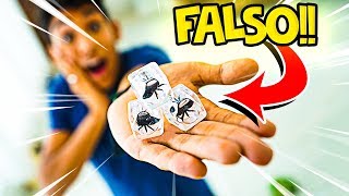 TROLLAGEM DA ARANHA NO GELO FALSO !! ‹ AUTHENTIC  ›