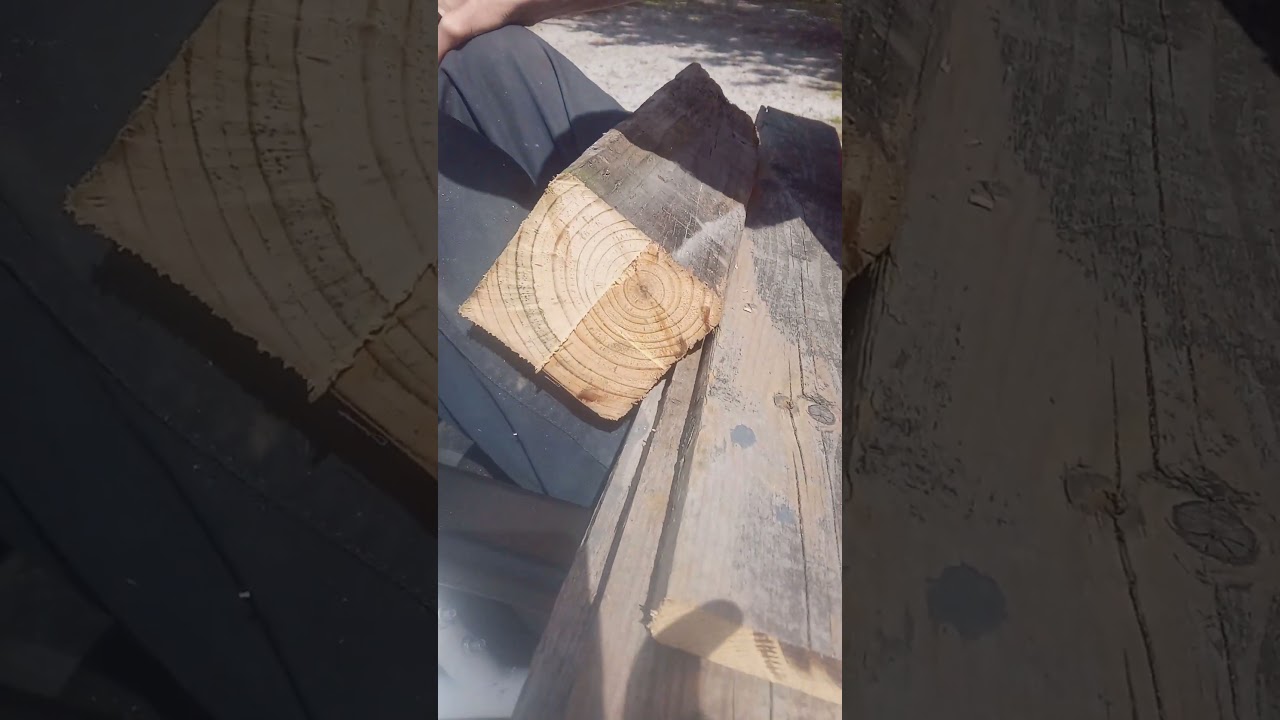 Socializing MY therapy friend 🤪