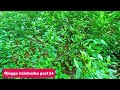 অযোগ্য ভালোবাসা | Part:-24 | Ojoggo Valobasha |