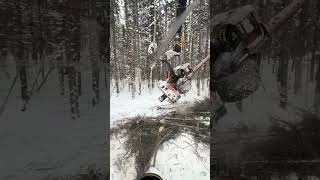 #foresterie #forestmachine #forestry #tigercat #logmax #snow #forestrymachinery