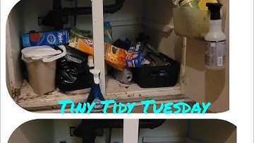 Tiny Tidy Tuesday!! Tackle under the kitchen sink with Me!