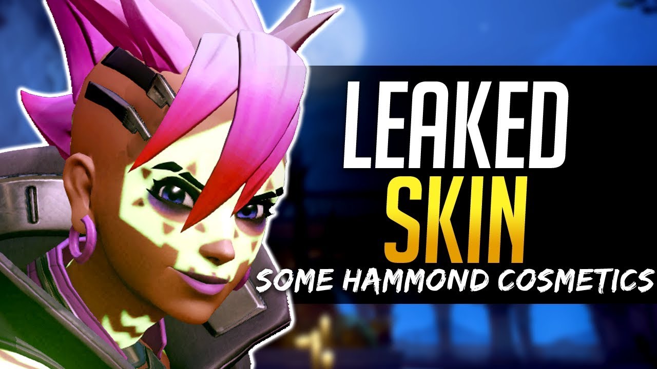Overwatch NEW LEAKED SKIN - New Hanzo Voiceline, Hammond Cosmetics