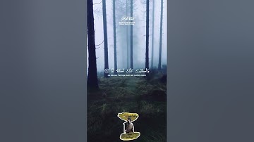 سورة الفجر كاملة بصوت القارئ مالك أحمد