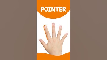 Finger Names | Toddlers Learning English Step by Step