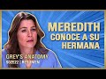 Grey&#39;s Anatomy 2x22 | Una HERMANA, una MADRASTRA y un VETERINARIO | RESUMEN Temporada 2