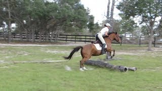 Video #2 Flat/Log Jump Open Field Summer 2005, 13.2hh Pony Mare For Sale - Ocala, FL