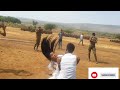 Shaggoyyee Jaalalaa Beautiful Ethiopian Oromo Cultural Music 2026 