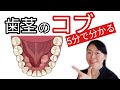 【歯茎のコブ】骨隆起をなんとかしたい!放っておいても大丈夫?