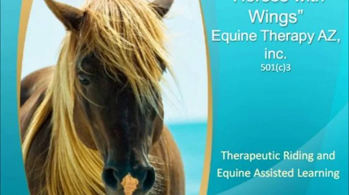 Our first equine therapy session