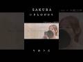SAKURA／いきものがかり(covered by りあ)#カバー