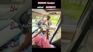 TOP5 MOMEN TERLUCU #funny #funnyvideos #comedy #viral #memes #lol #haha #laugh #funnymoments#top