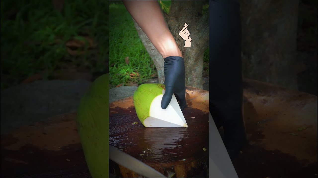 Coconut Cutting Perfection | ASMR Sharp Knife Technique