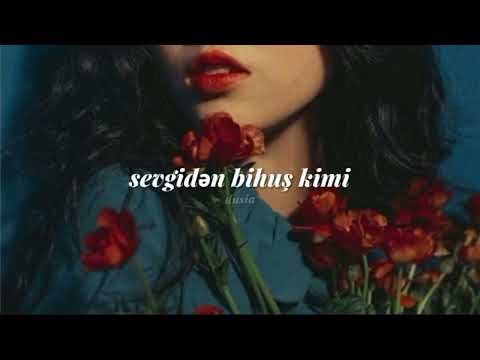 Aisel - Dilbərin ariyası / Sevil Operası