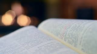 Book || Free No Copyright Stock Video Footage || V4U - footage library