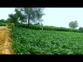 real nature | beautiful nature | relaxing natural view | #nature #vr #1 #TrickyMirza