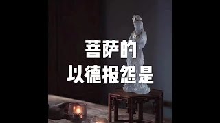 201609 菩萨的以德报怨是22150