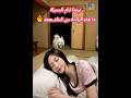 ماذا فعل الكلب سراً خلف الجميلة النائمة في منتصف الليل🐾🥩 feat. BOXMOMO