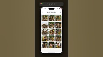Campsite App Template! #flutterflow #flutterflowexperts  #flutterdesigns