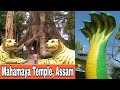 Mahamaya Temple, Assam | মহামায়া মন্দিৰ | Travel Vlog | Dhubri Tourism