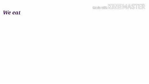 Xseed | Grade 3 | E.V.S. | Block 16 | Balance Diet | Lesson 1