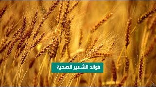 فوائد الشعير الصحية