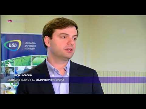 ვეტერინარიის მსოფლიო დღე