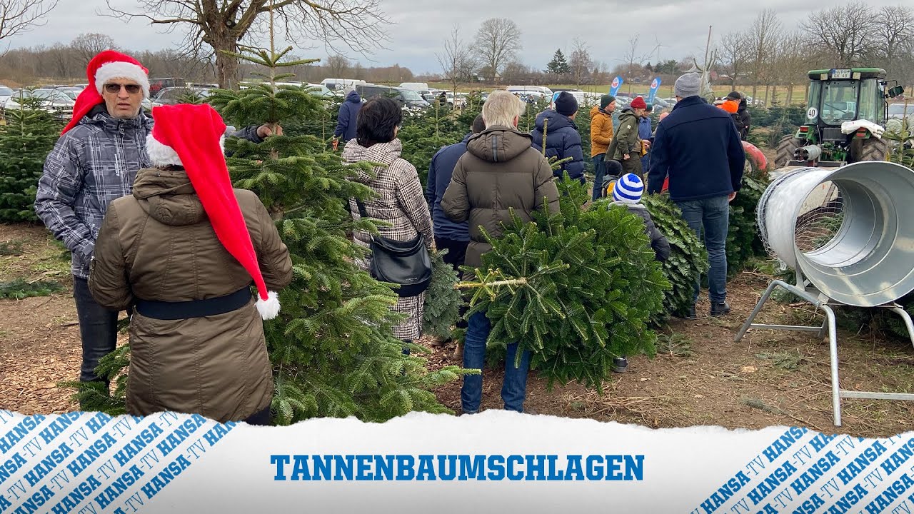 Tannenbaumschlagen mit unseren Partnern