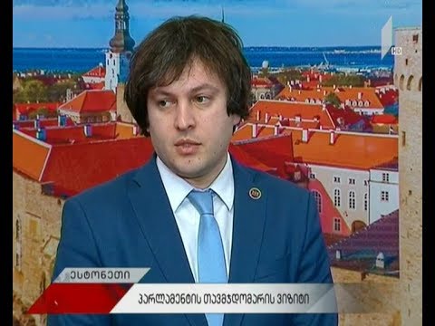 პარლამენტის თავმჯდომარის ვიზიტი