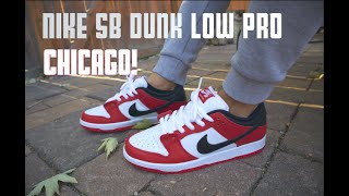 NIKE SB DUNK LOW PRO - CHICAGO!  Review and on-feet