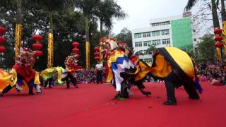 深圳市坪山鎮麒麟祈福滙演-Part1