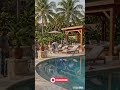 Dirty Pool to Tropical Luxury Oasis! 🌴😱 #Shorts