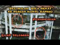 PENAMPAKAN RUMAH HANTU DARMO ‼️ KISAH MISTERI NYATA TAHUN 1988