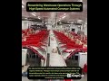 How Automated Package Sorting Enhances Productivity in Modern E-Commerce Fulfillment