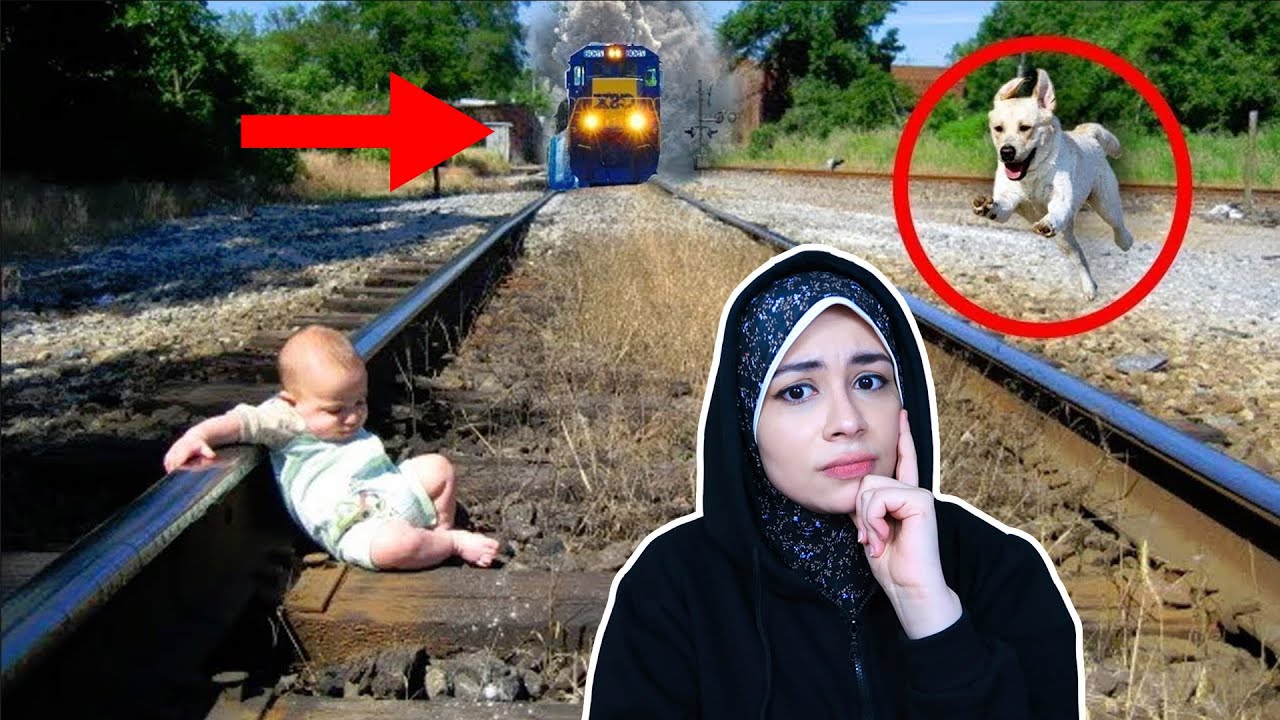 حيوانات انقذت البشر من الموت!!!😱😱