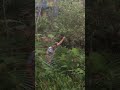 Dave P swinging from a vine 😂🍃
