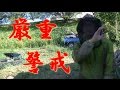 山間地で農業するならブヨ（ブユ、ブト）対策しておかないと血だらけにされるよ