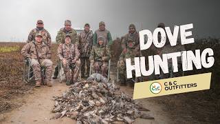 UNMATCHED DOVE HUNTING - RECORD-BREAKING DAYS in ARGENTINA!